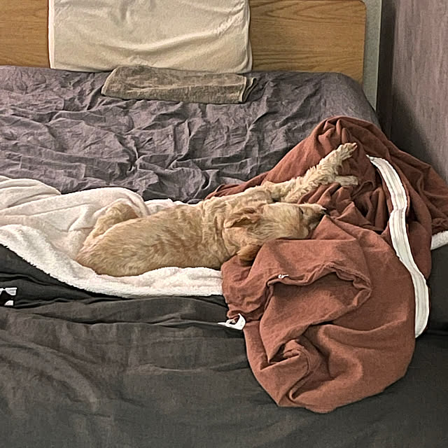 kikiさんの部屋