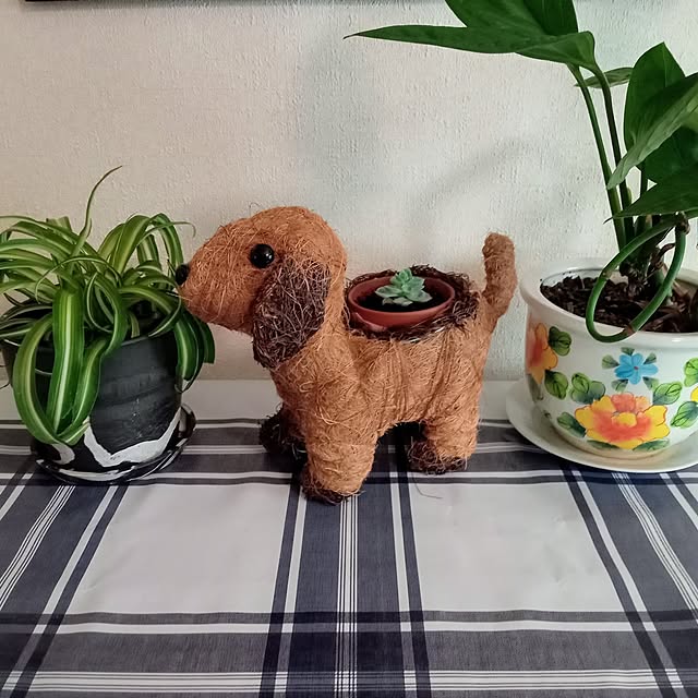 moruさんの部屋