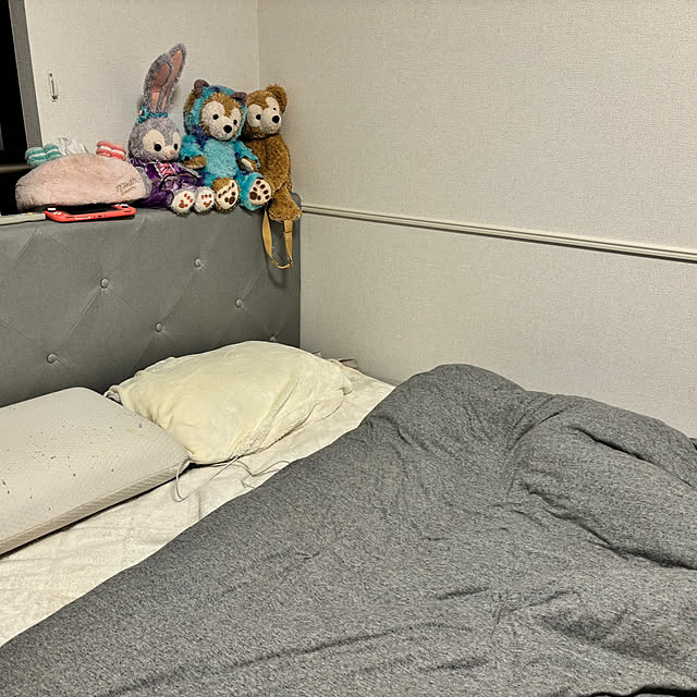 haruさんの実例写真