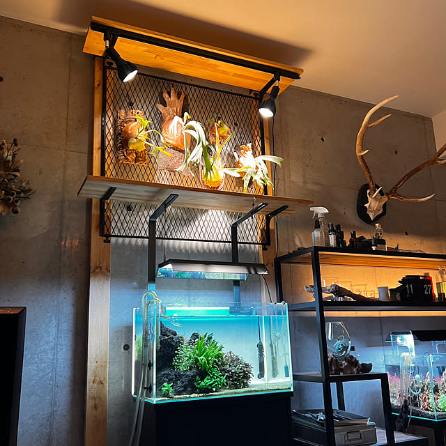 Ryotaさんの部屋
