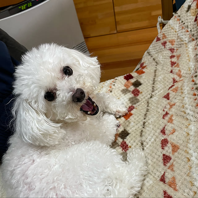 kakoさんの実例写真
