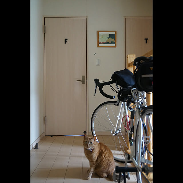 Swatchさんの実例写真