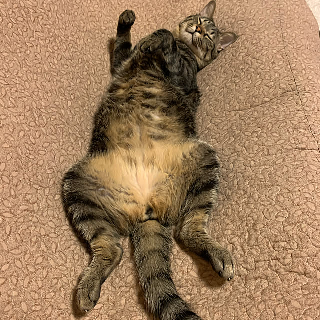 yuraさんの実例写真