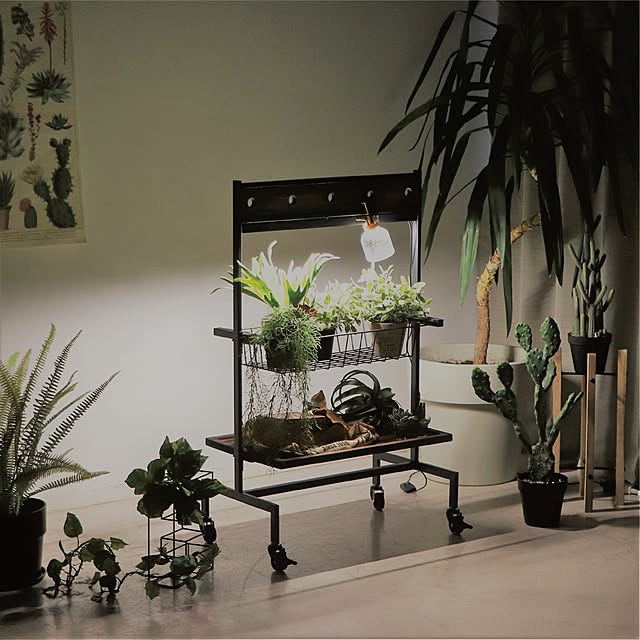 marcherior_roomさんの実例写真