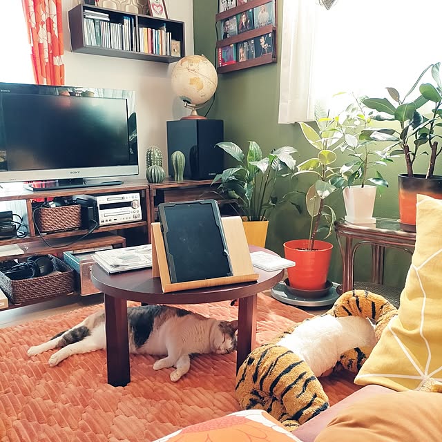 funnyfaceさんの実例写真