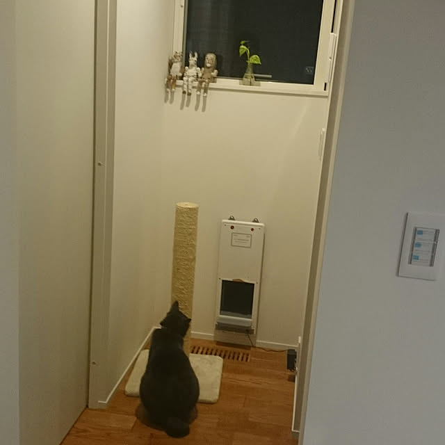 Chiharuさんの実例写真