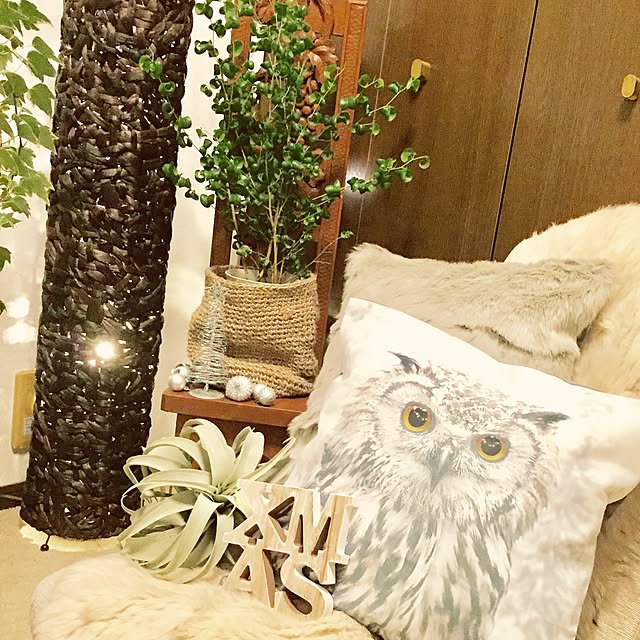 chicaphyさんの実例写真