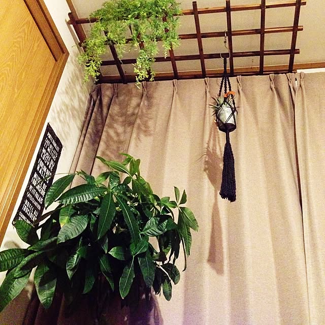 壁/天井/男前/DIY/観葉植物のインテリア実例 - 2015-10-29 22:21:14