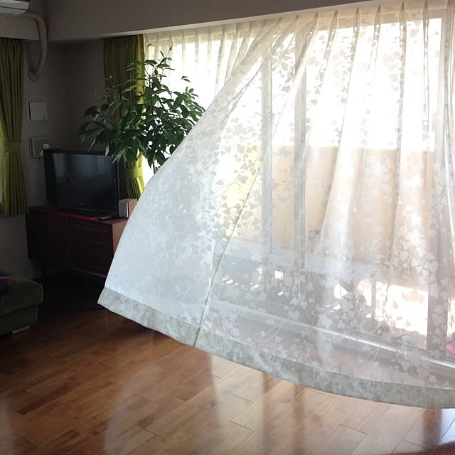 mashiwoさんの実例写真