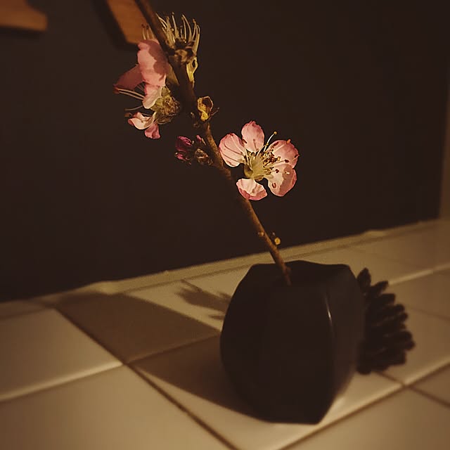 tomokoさんの実例写真