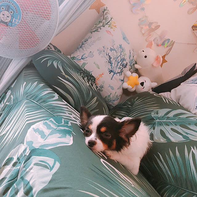 missさんの実例写真