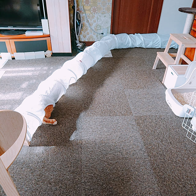 kikiさんの実例写真