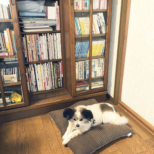 chacachonさんの実例写真