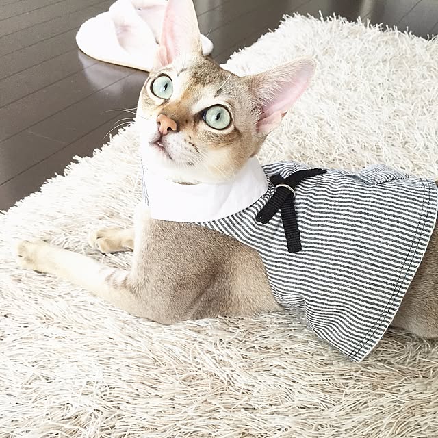 a-mkさんの実例写真