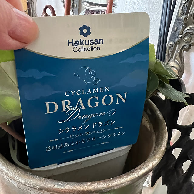 AYUKOさんの部屋