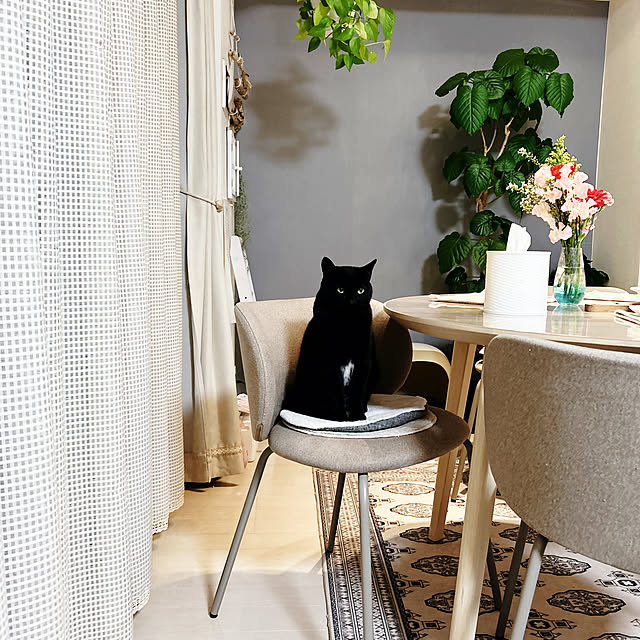 nekomiさんの部屋