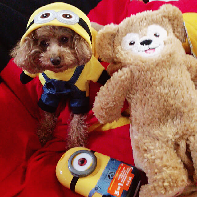 Momoさんの実例写真