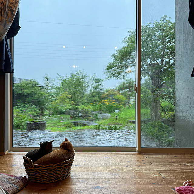 akaneさんの実例写真