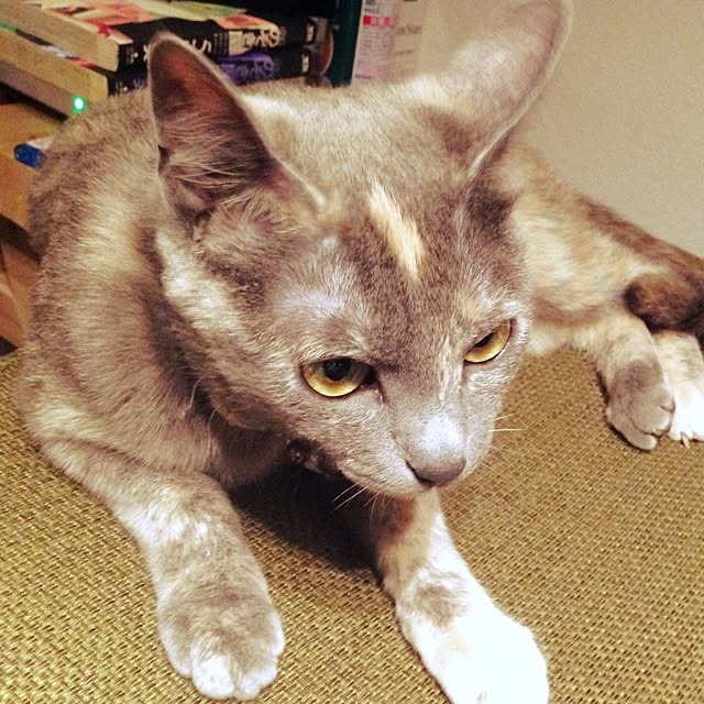 Kaiさんの実例写真