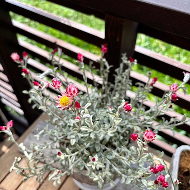 kyoko1124koさんの部屋