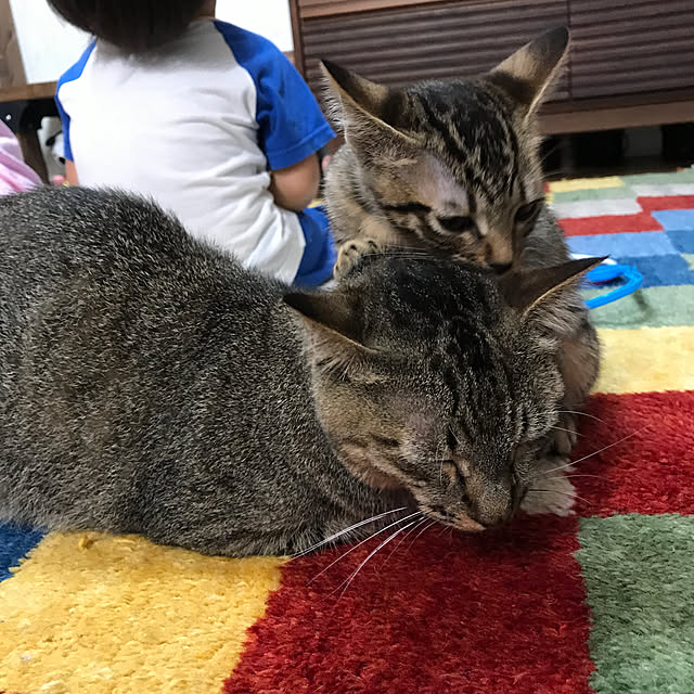 pepeさんの実例写真