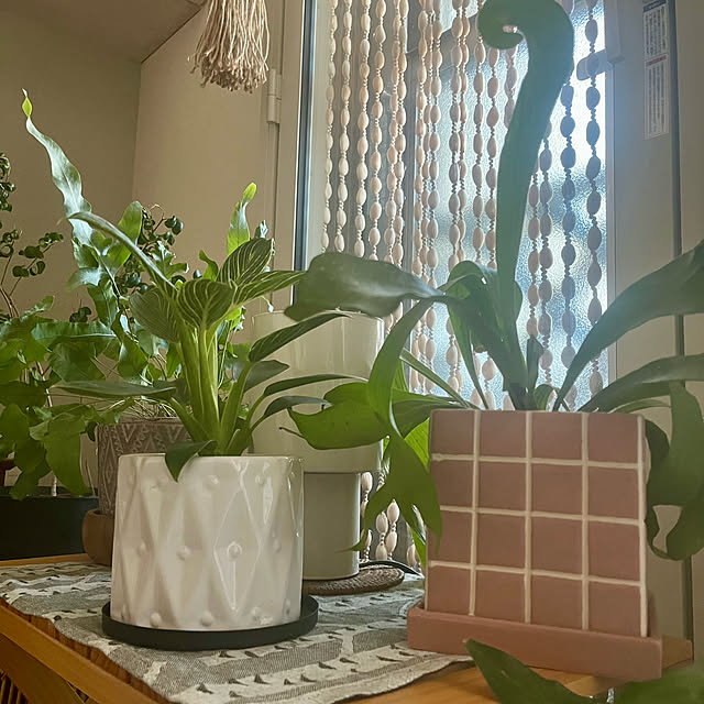 ha_ru76さんの部屋