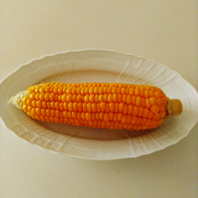 lilyさんの実例写真