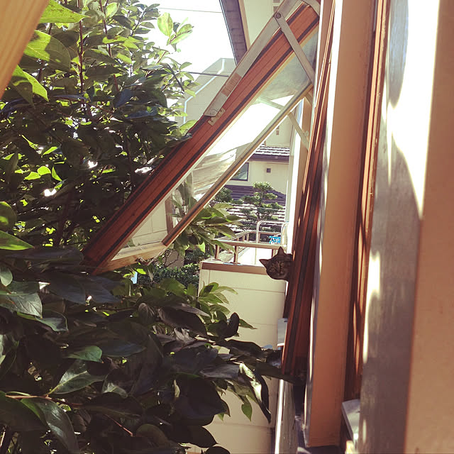 botanさんの実例写真