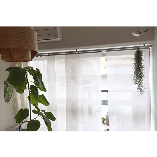 Hisayoさんの実例写真