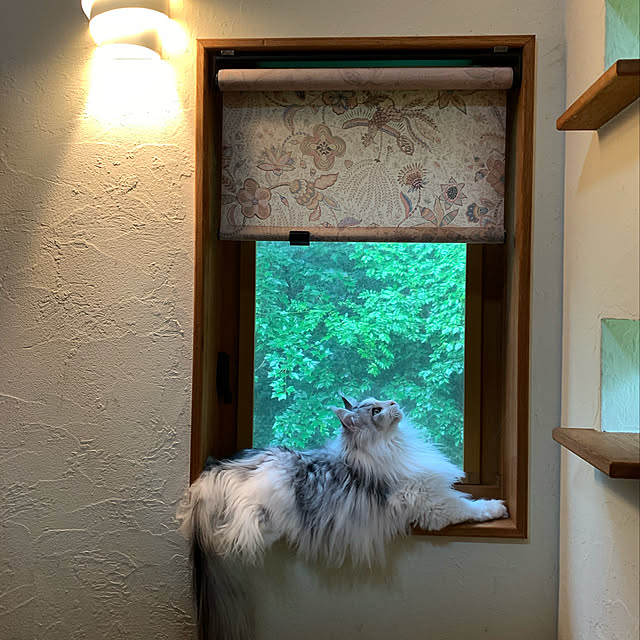 Kikko.さんの実例写真
