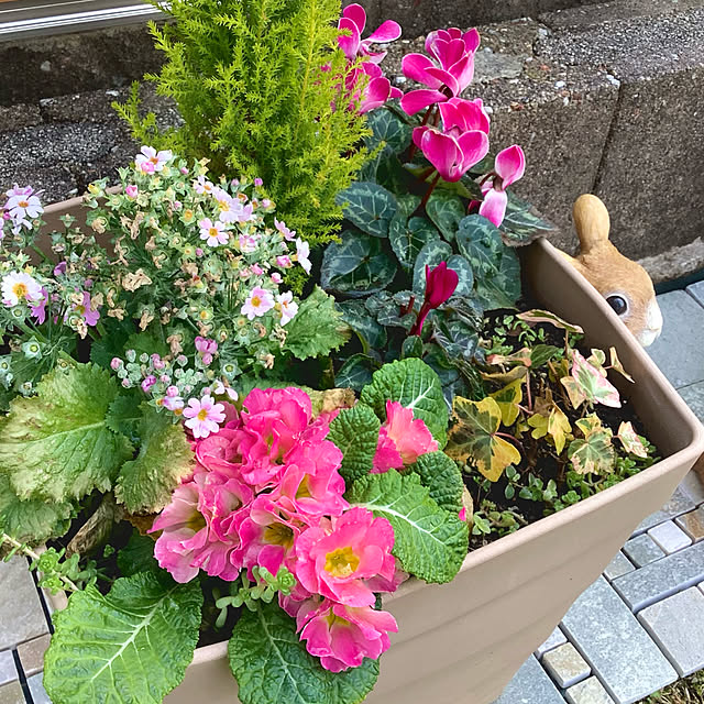 haruminさんの実例写真