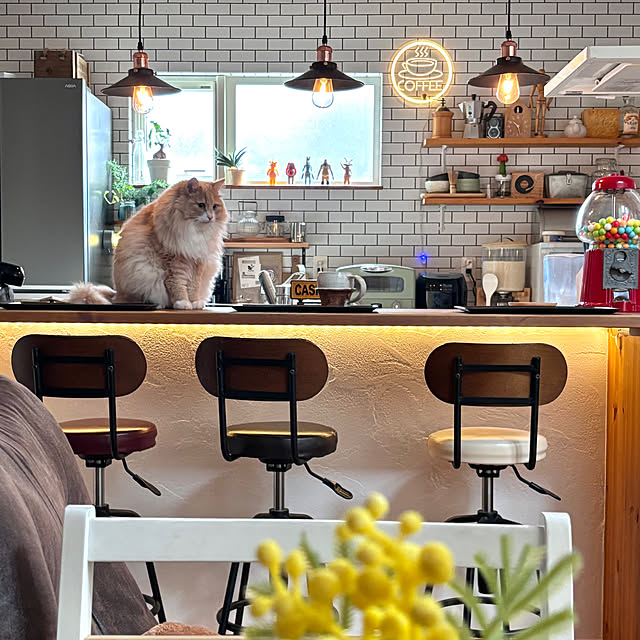 chibinoriさんの実例写真