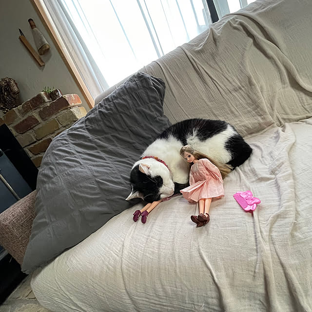 nekosamaさんの実例写真