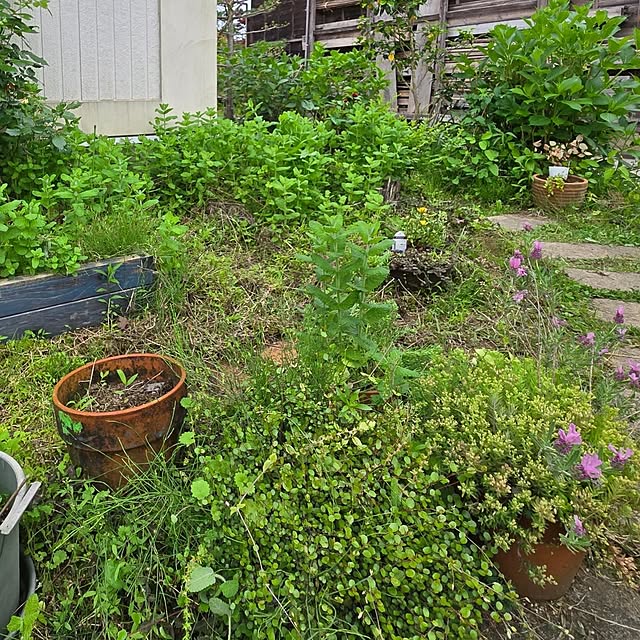 tulipさんの実例写真