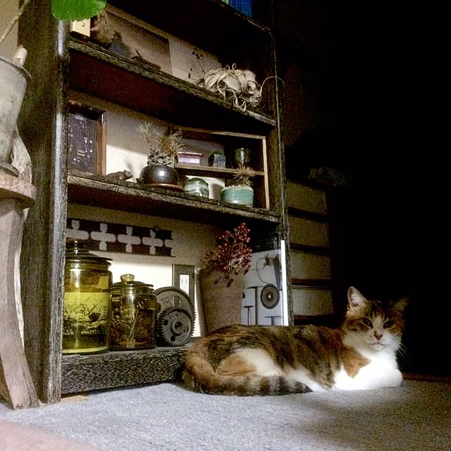 manatomoさんの実例写真