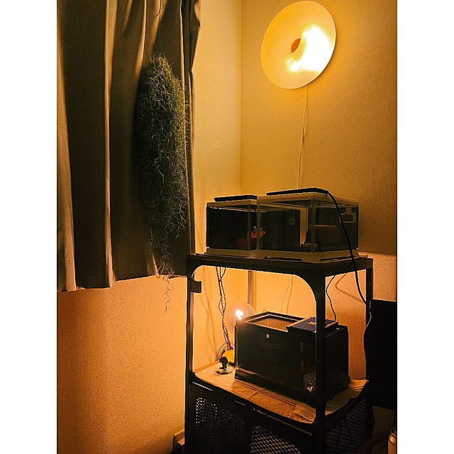 w_end_0625さんの部屋