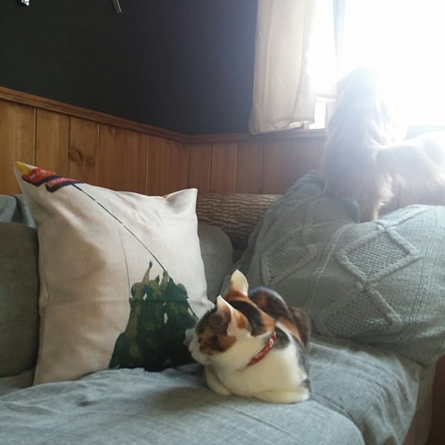 l..tomesanさんの実例写真
