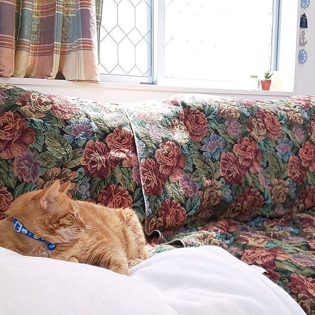 37さんの実例写真