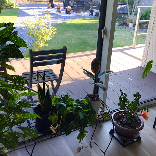 houenさんの部屋