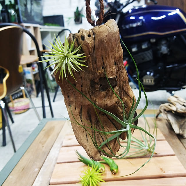 Daiさんの実例写真
