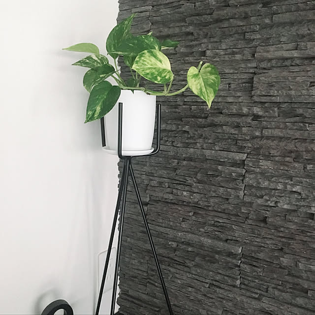 chumeさんの実例写真