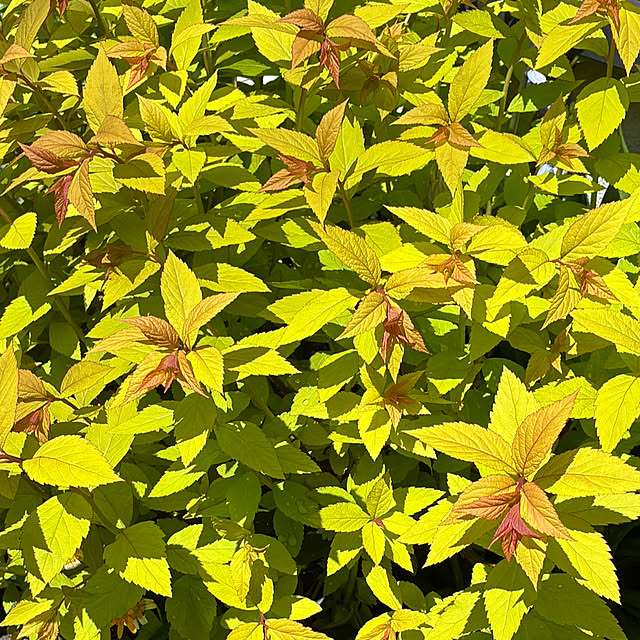 romiromiさんの部屋