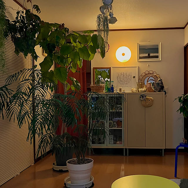 65-24oxoさんの実例写真