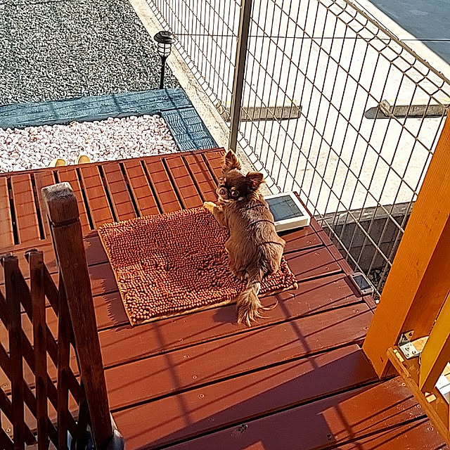 taeさんの実例写真