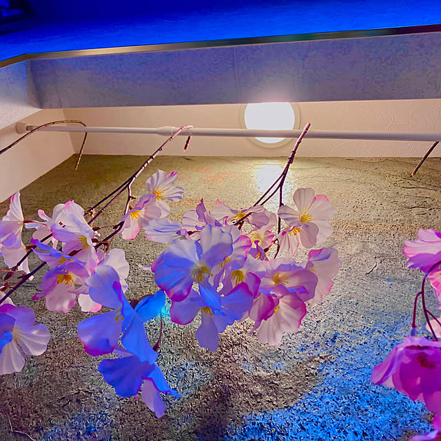 tinkunさんの部屋