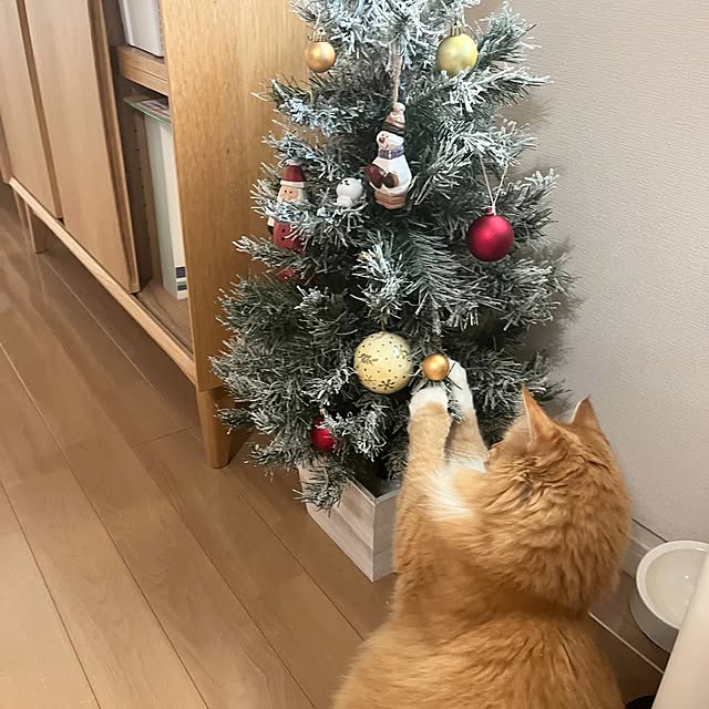 pinokoさんの実例写真