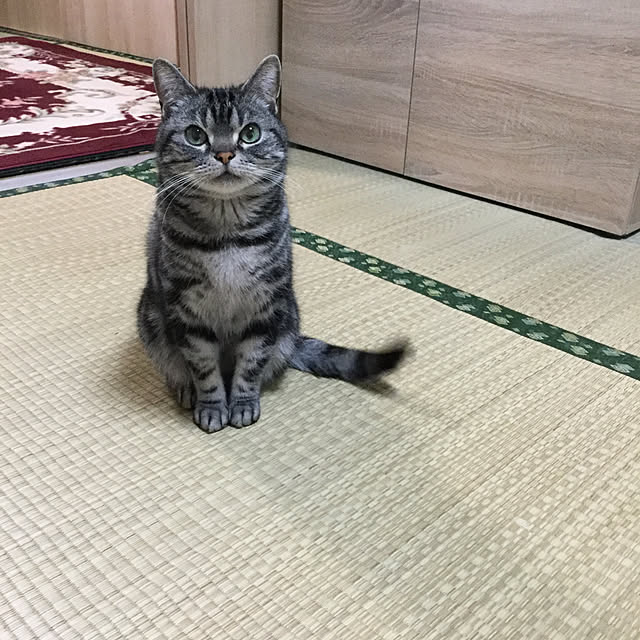 richanさんの実例写真