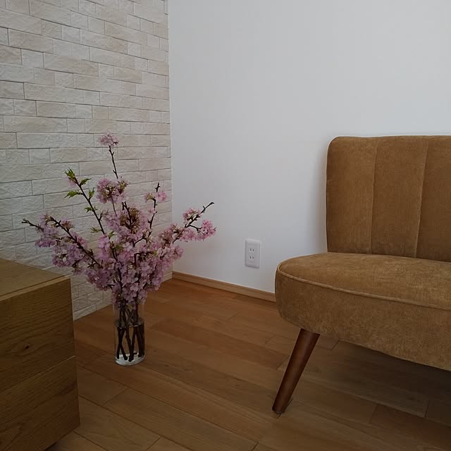 anemone37さんの部屋