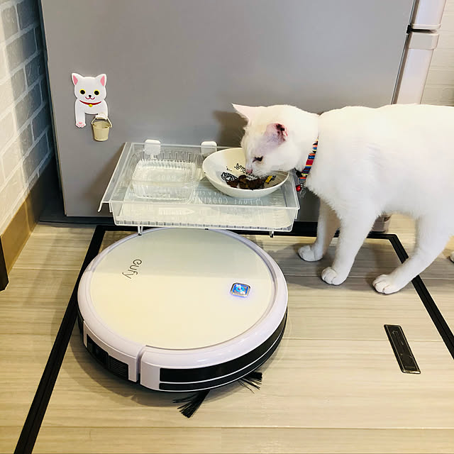 moyuhiさんの実例写真