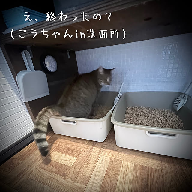 marusanさんの部屋